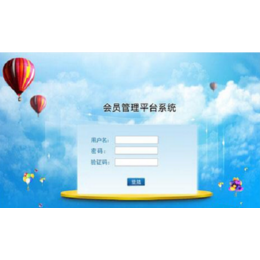 系統(tǒng)軟件開發(fā) 黑龍江與山東的行業(yè)特色與服務優(yōu)勢